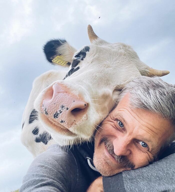 Hombre sonriente con vaquita en selfie divertido y adorable, un momento perfecto de animales y cariño natural.