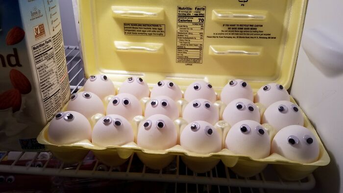 Huevos en cartón con ojos móviles, un momento divertido que muestra que los hombres nunca realmente crecieron.