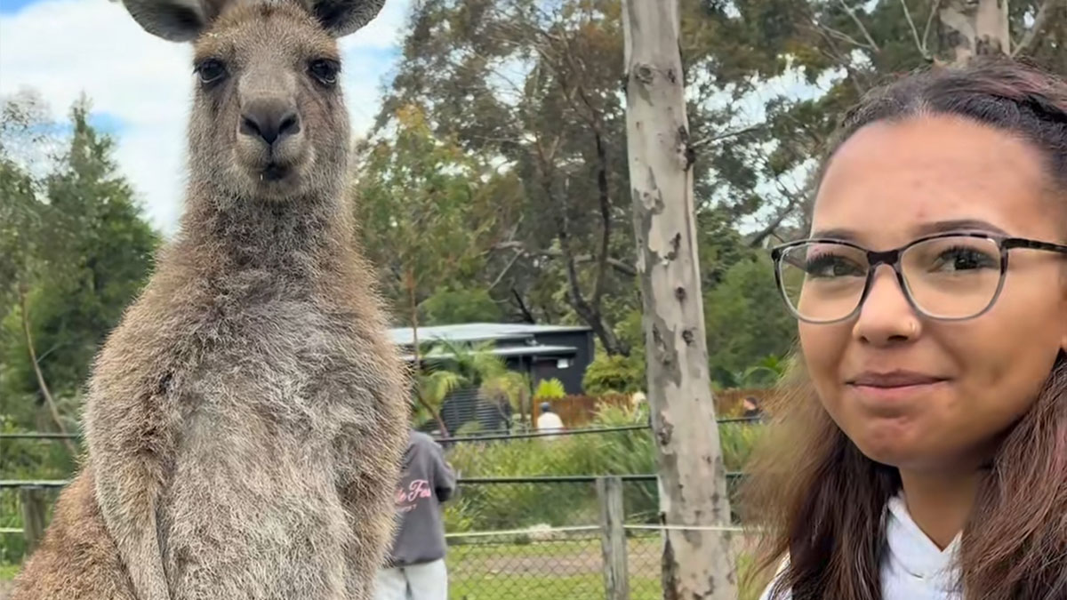 Mujer con gafas junto a un canguro en Australia mostrando el efecto australiano antes y despuu00e9s de mudarse al pau00eds.