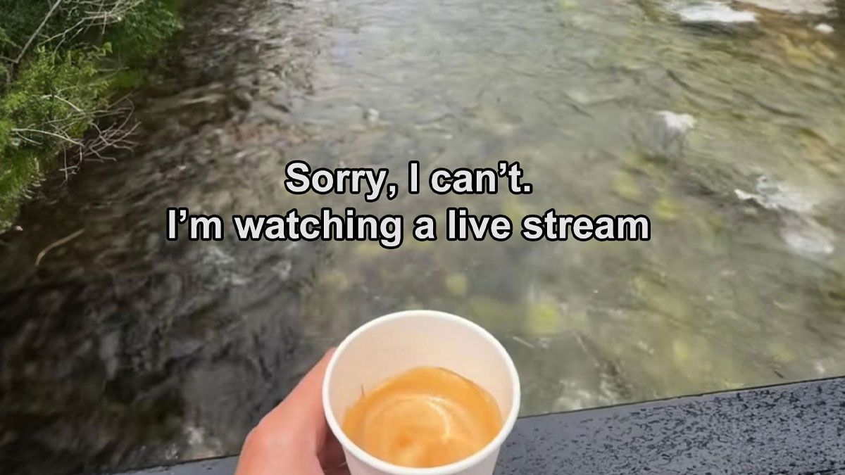 Persona sostiene taza de cafu00e9 frente a un ru00edo con texto gracioso que muestra resultados hilarantes al hacer lo indicado.