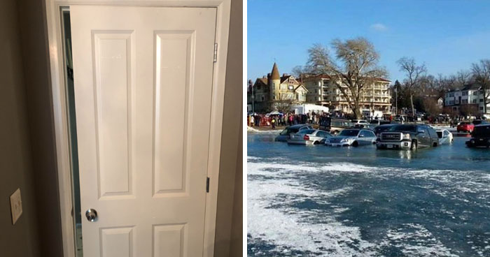 20 Personas que sorprendieron a los demás por su falta de sentido común