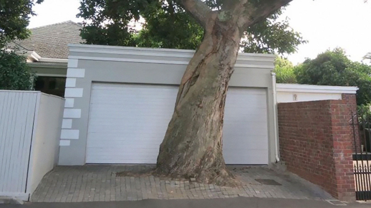 u00c1rbol gigante creciendo justo frente a garaje con diseu00f1o arquitectu00f3nico mal planeado y errores de construcciu00f3n evidentes.