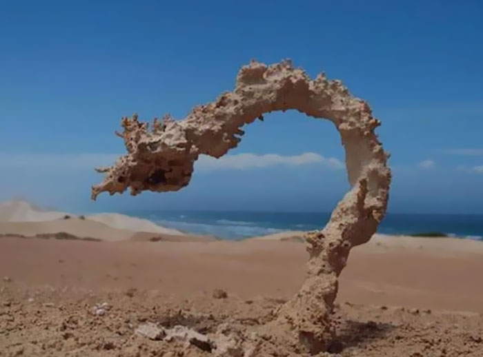 Escultura de arena en forma de dragón en una playa con cielo azul, ilustrando lo extraño en el mundo según empleados despedidos.