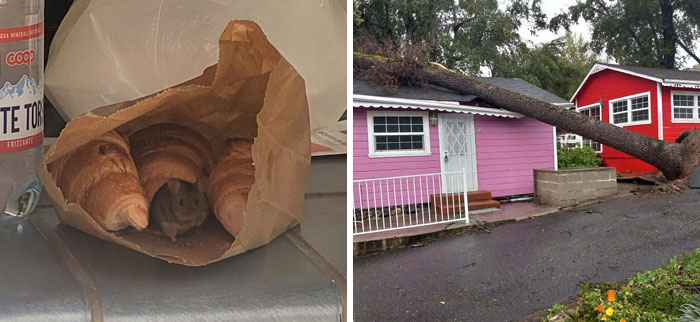 Si hoy te parece un día horrible, estas 30 fotos te recordarán que siempre puede empeorar