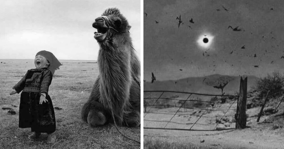 Niu00f1o y camello riendo en campo abierto junto a foto histu00f3rica del eclipse con aves volando en paisaje rural.