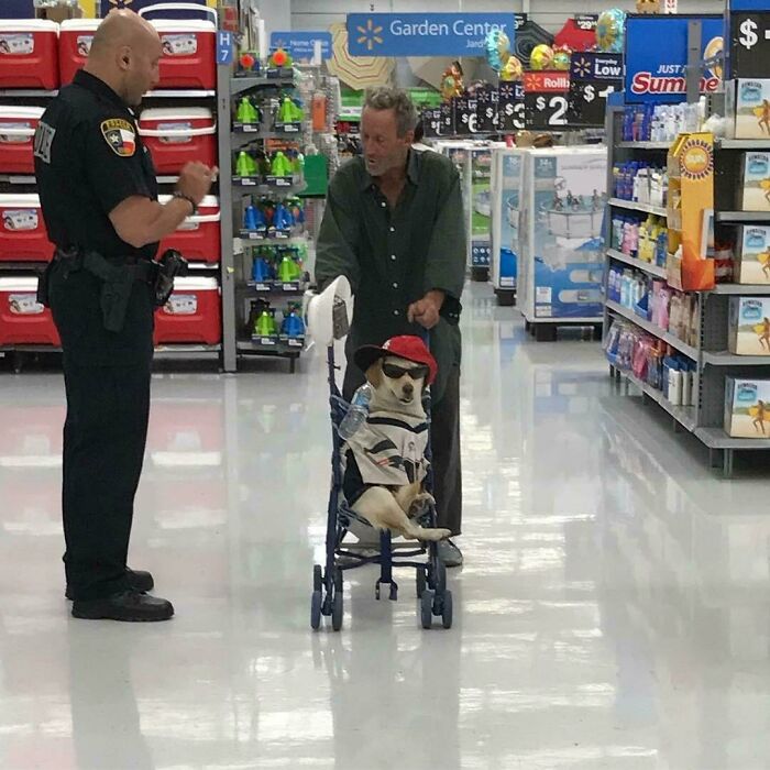 Perro con gafas y gorra en carrito en Walmart, mientras un policía y un hombre conversan en el pasillo del supermercado.