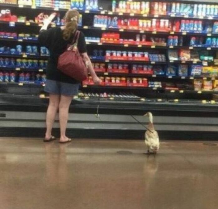 Mujer con bolsa roja paseando un pato con correa dentro de un Walmart, escena curiosa que sorprendió a los clientes.