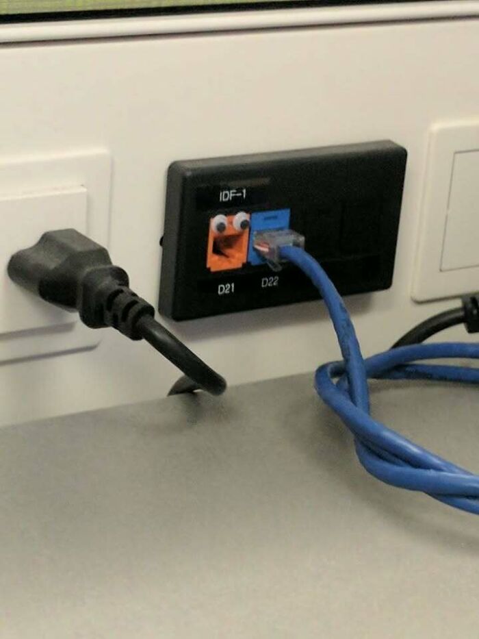 Toma de red con ojos de juguete pegados, creando un efecto divertido, ejemplo de humor increíble diario en tecnología.