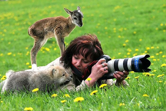 Fotógrafa tomando fotos de animales tiernos en un campo verde, captures que alegran el día con fotos de animales divertidas y emotivas.