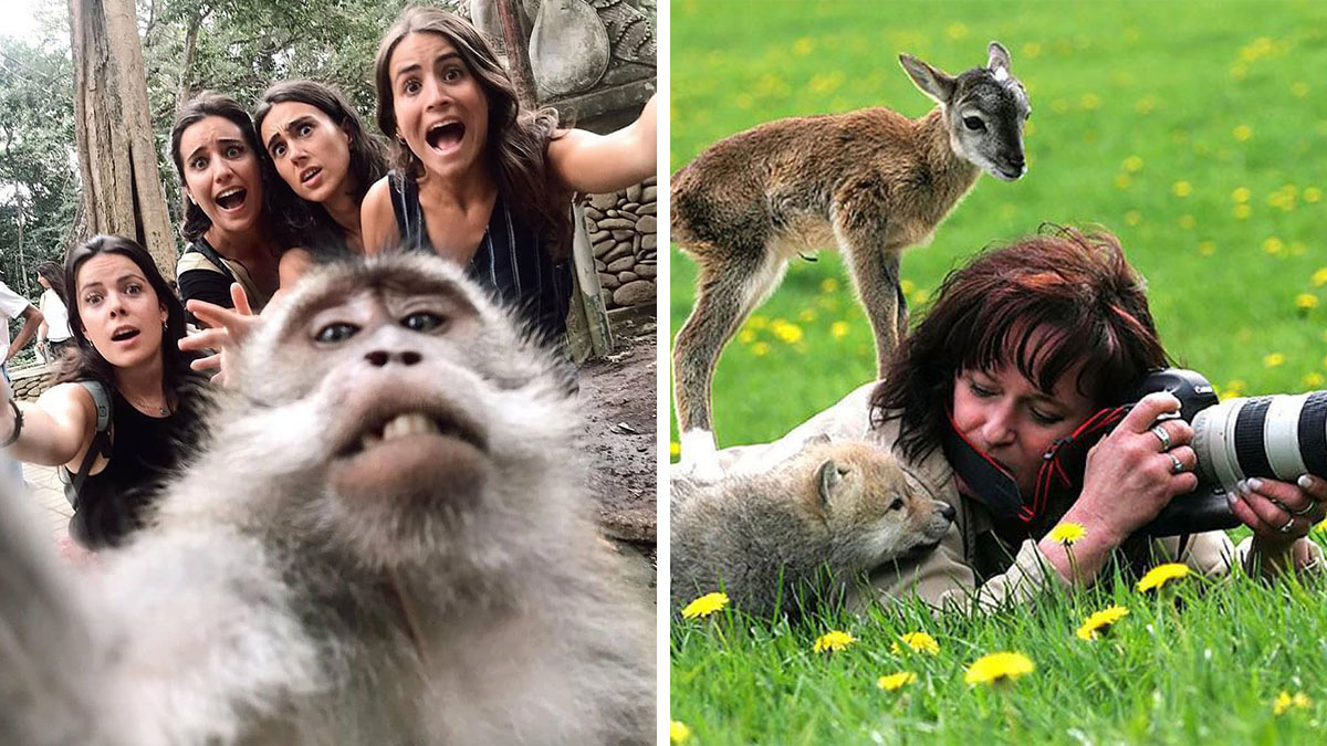 Fotos divertidas y conmovedoras de animales con personas y naturaleza, capturando momentos tiernos y espontu00e1neos.