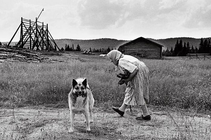 Anciana acariciando a un perro en el campo, en una escena conmovedora y divertida de fotos de animales.