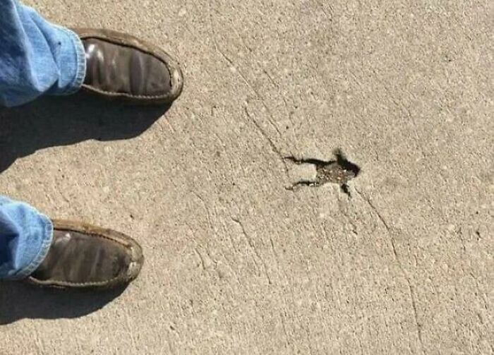 Zapato hundido en concreto roto, ejemplo claro de algo que salió mal en un día desafortunado para algunas personas.